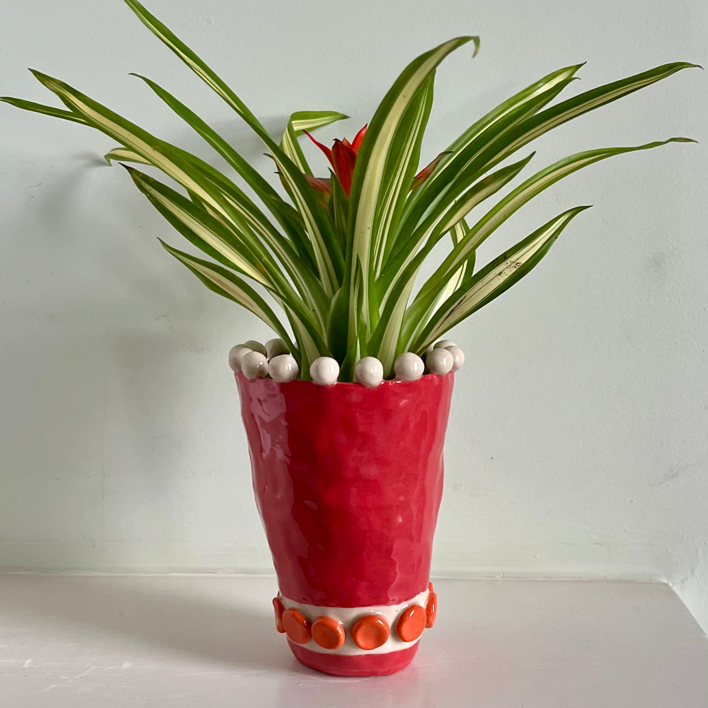 Chihuahua Dog Head Pot