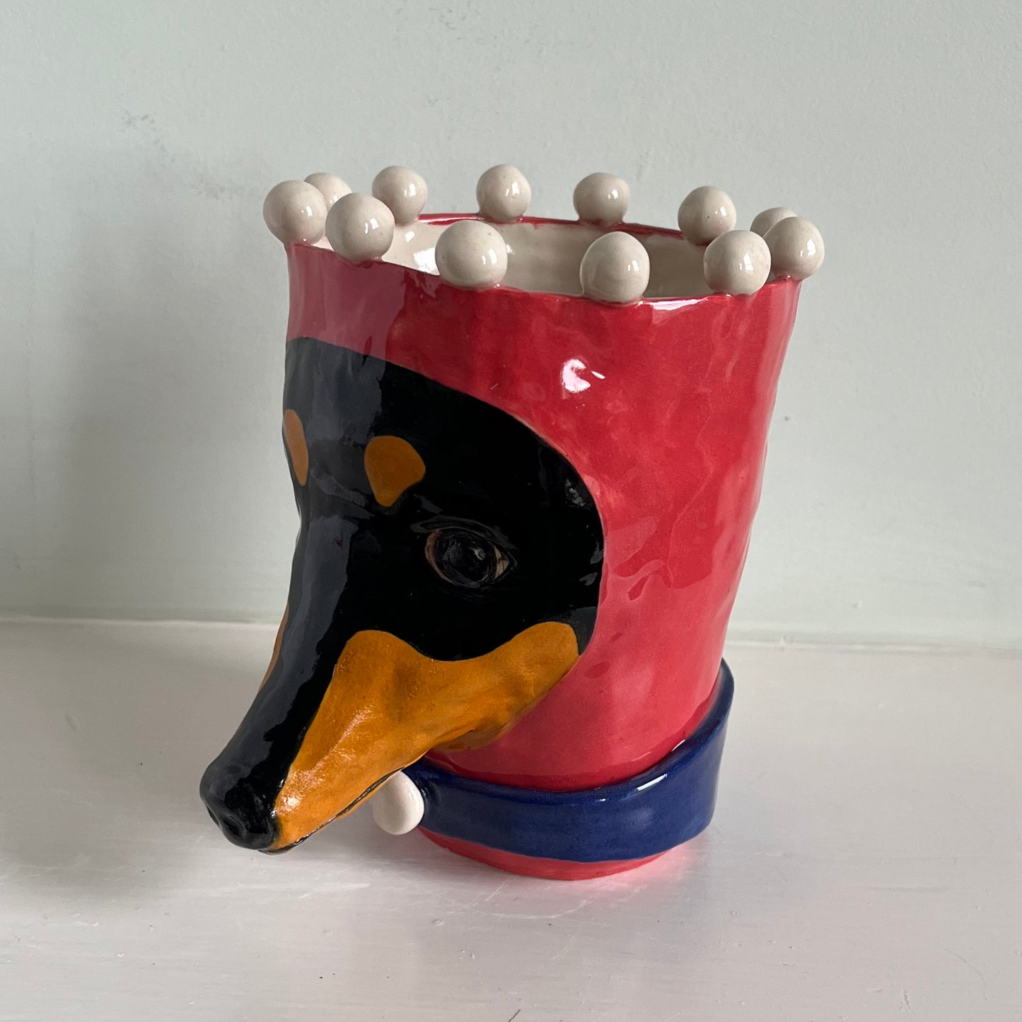 Dachshund in Red Balaclava with Blue Collar