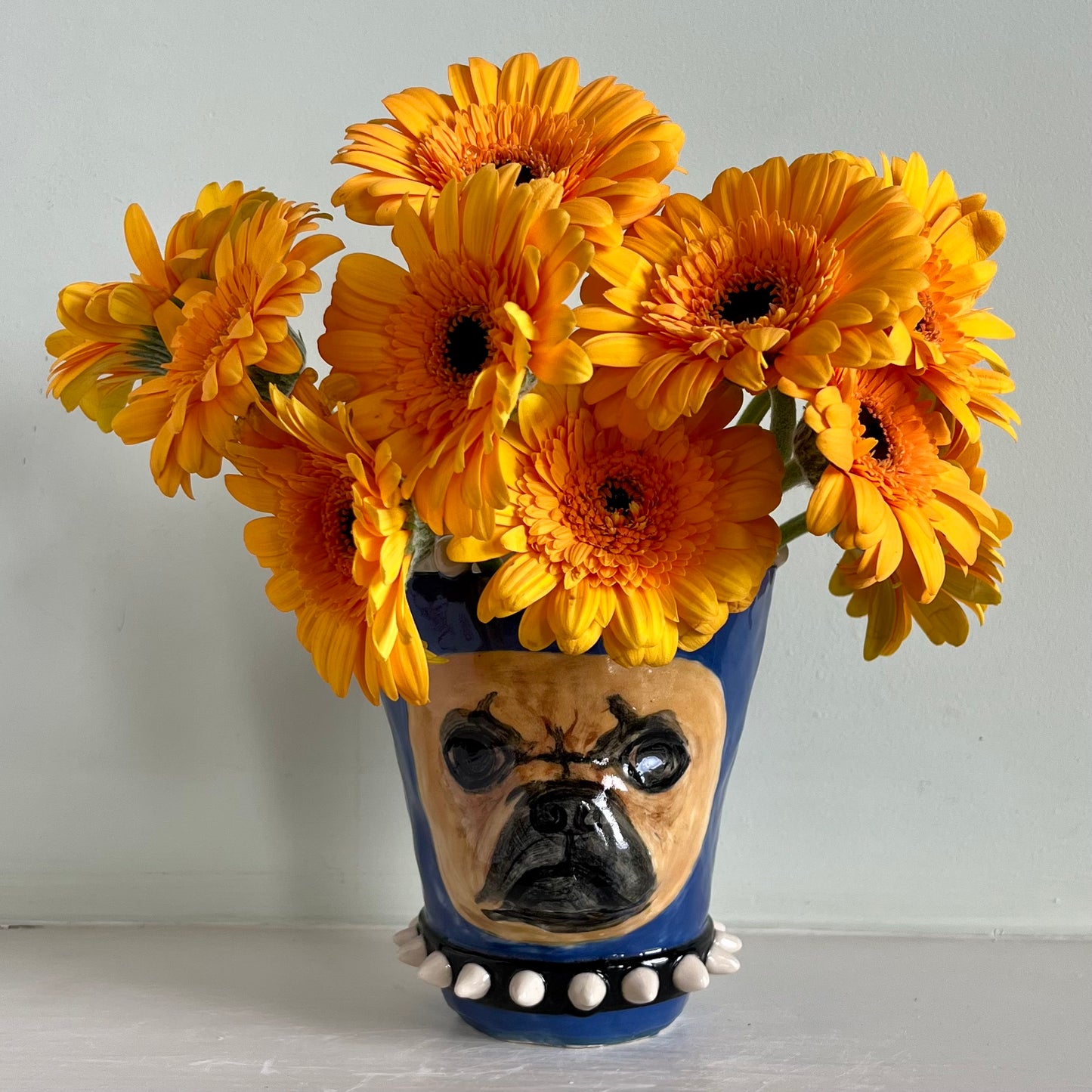 Bulldog in Blue Balaclava with Black Spiked Collar